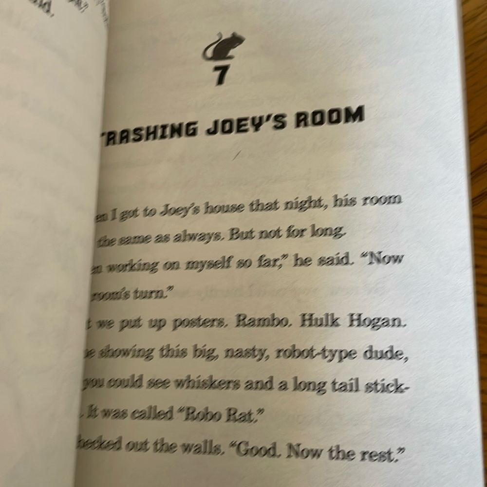 Fourth Grade Rats Chapter Book - Picture 3 of 3